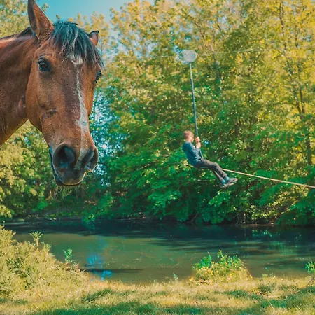 Sahel Apartament Westermarkelsdorf