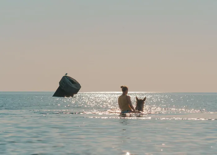 Sahel * Westermarkelsdorf